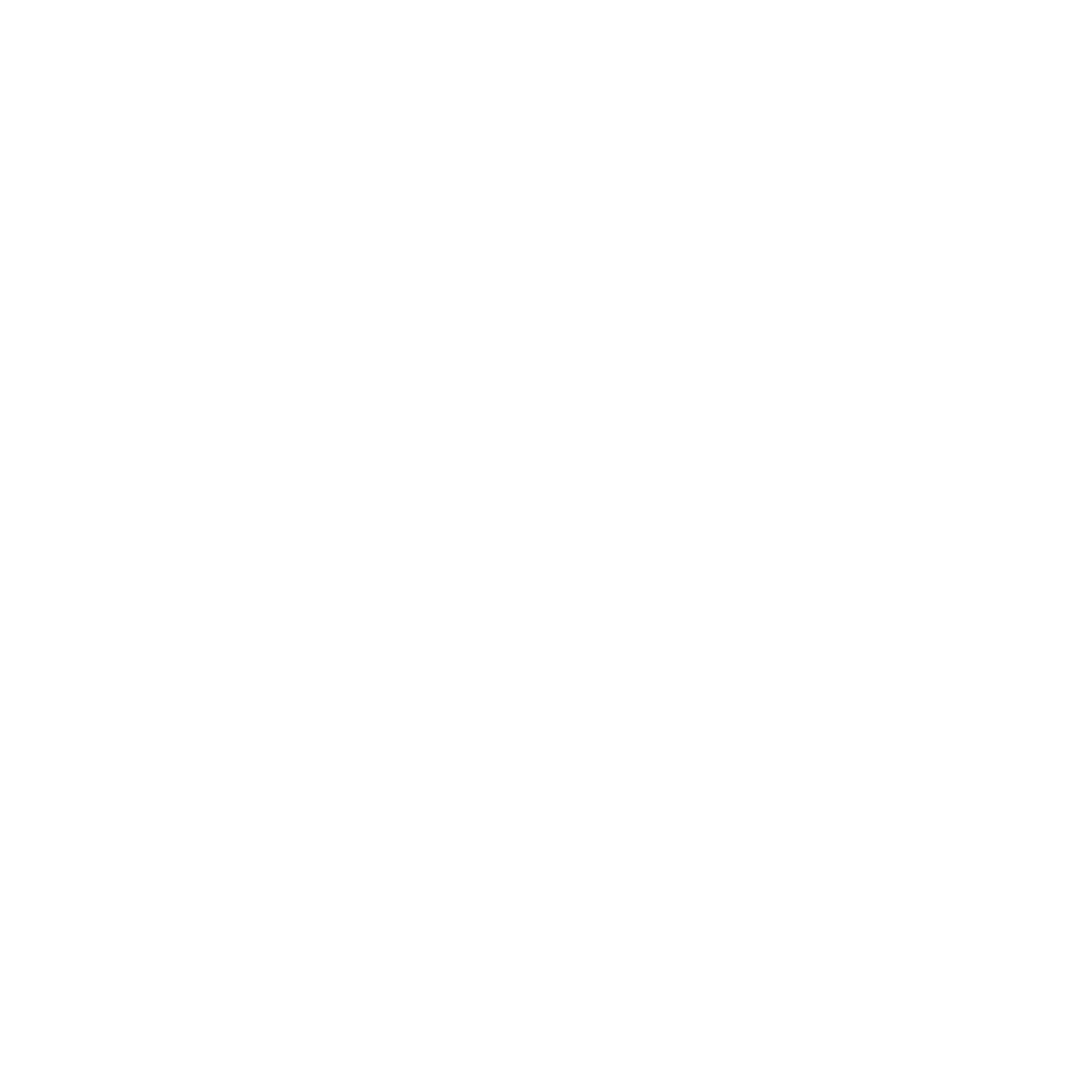Residencial Magnific Palace logo