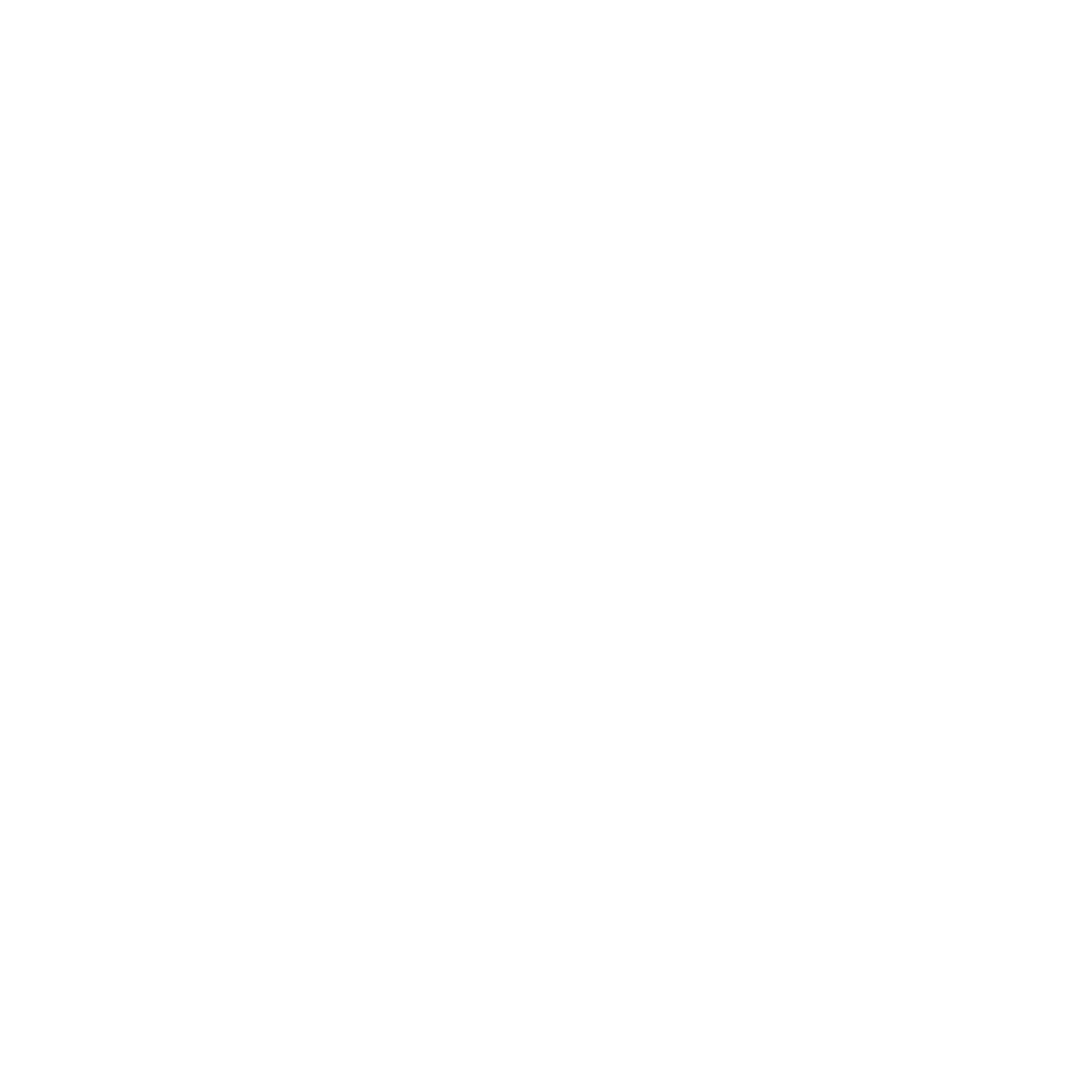 Space Soul logo