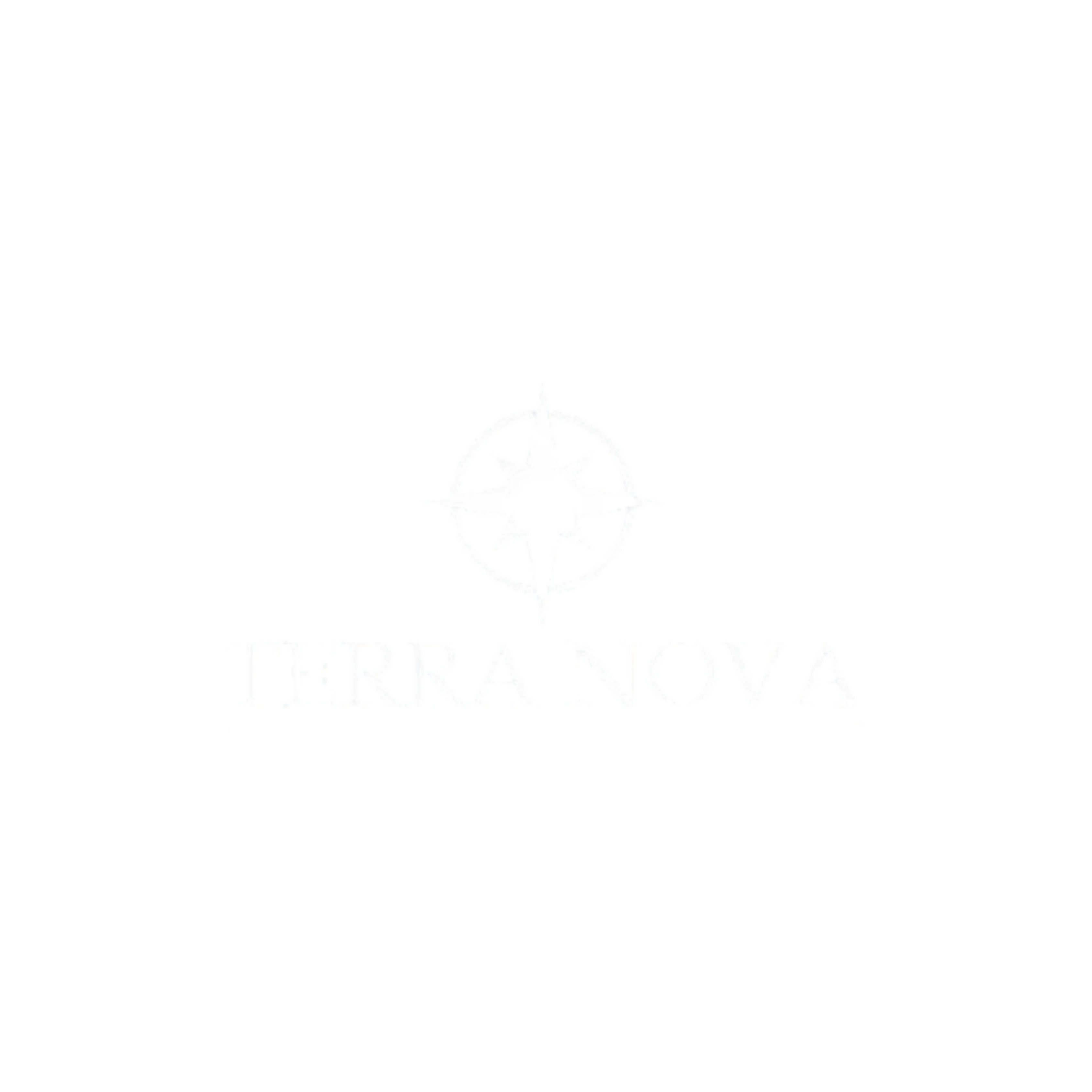 Logo Terra Nova Incorporações